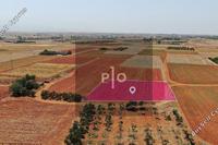 1872 SQM Land in Palaiometocho (Nicosia) for sale 