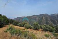 13044 SQM Land in Kalopanagiotis (Nicosia) for sale 