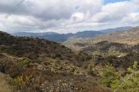 15720 SQM Land in Kalo Chorio Lemesou (Limassol) for sale 