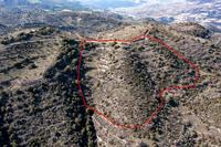 24750 SQM Land in Dora (Limassol) for sale 