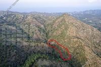 4014 SQM Plot in Pigenia (Nicosia) for sale 