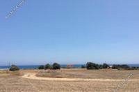 7024 SQM Land in Agios Theodoros Larnacas (Larnaca) for sale 