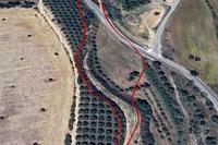 10034 SQM Land · Poli Chrysochous (Paphos) for sale 