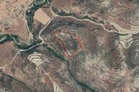 10703 SQM Land · Pachna (Limassol) for sale 