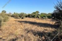 1134 SQM Land · Pera Orinis (Nicosia) for sale 
