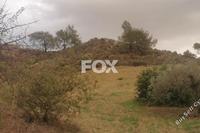 1893 SQM Land in Agios Spyridonas (Limassol) to rent 