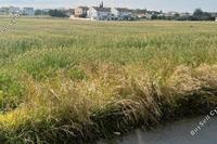 8761 SQM Land in Ilioupoli (Nicosia) for sale 