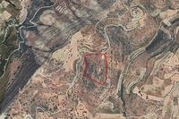13638 SQM Land · Pachna (Limassol) for sale 