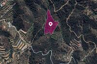 13044 SQM Land in Gourri (Nicosia) for sale 