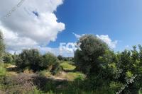 1563 SQM Plot · Aphrodite Hills (Paphos) for sale 
