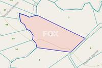 19754 SQM Land in Anarita (Paphos) for sale 