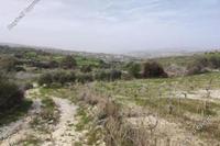 8362 SQM Land in Stroumbi (Paphos) for sale 