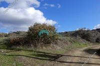 28763 SQM Land in Meladia (Paphos) for sale 