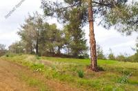 7646 SQM Land · Agios Epifanios Oreinis (Nicosia) for sale 