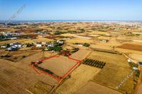 9160 SQM Land in Frenaros (Famagusta) for sale 