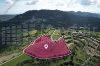 31101 SQM Land in Dora (Limassol) for sale 