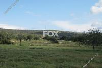 17057 SQM Land · Erimi (Limassol) for sale 