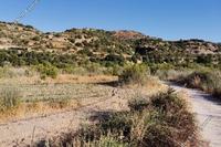 9365 SQM Land in Choulou (Paphos) for sale 