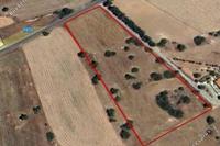 13880 SQM Plot in Kouklia Pafou (Paphos) for sale 