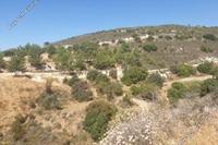 2342 SQM Land · Kato Drys (Larnaca) for sale 