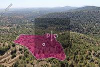 26190 SQM Land · Kapedes (Nicosia) for sale 