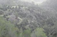 7693 SQM Land · Amargeti (Paphos) for sale 