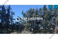 49092 SQM Land · Larnaca Municipality (Larnaca) for sale 
