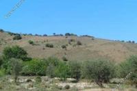 40135 SQM Land · Axylou (Paphos) for sale 