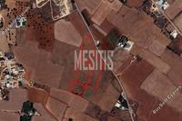 15761 SQM Plot in Avgorou (Famagusta) for sale 