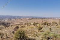 11706 SQM Land in Statos Agios Fotios (Paphos) for sale 