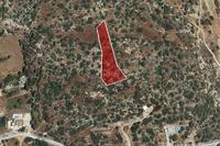 3345 SQM Land in Parekklisia (Limassol) for sale 