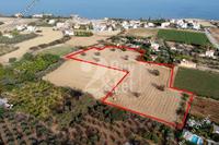 12709 SQM Land in Agios Theodoros Larnacas (Larnaca) for sale 
