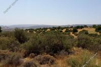 107025 SQM Land in Prastio Avdimou (Limassol) for sale 