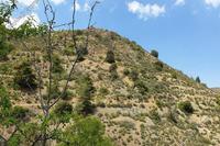 4497 SQM Land in Askas (Nicosia) for sale 