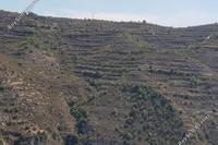 20738 SQM Land in Koilani (Limassol) for sale 