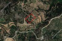 9365 SQM Land in Odou (Larnaca) for sale 