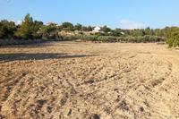 9182 SQM Land in Souni Zanakia (Limassol) for sale 