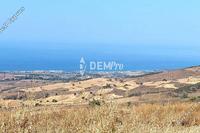 8000 SQM Land in Drousia (Paphos) for sale 