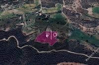 8912 SQM Land · Kofinou (Larnaca) for sale 