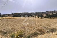 17005 SQM Plot in Agios Athanasios (Limassol) for sale 