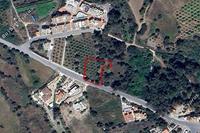 1463 SQM Land · Argaka (Paphos) for sale 
