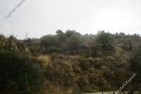 6021 SQM Land in Letymvou (Paphos) for sale 