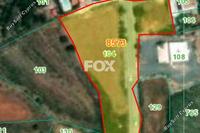 6355 SQM Land in Kathikas (Paphos) for sale 