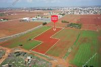 10502 SQM Land · Avgorou (Famagusta) for sale 