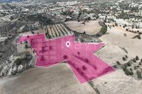 14716 SQM Land · Anglisides (Larnaca) for sale 