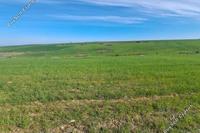 2342 SQM Land · Peristerona Lefkosias (Nicosia) for sale 