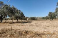 9700 SQM Land in Lympia (Nicosia) for sale 
