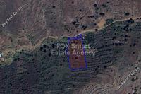 5706 SQM Land in Agios Epifanios Oreinis (Nicosia) for sale 