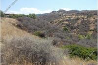 12041 SQM Land in Pano Pyrgos (Nicosia) for sale 