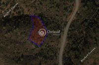 2342 SQM Land in Arakapas (Limassol) for sale 